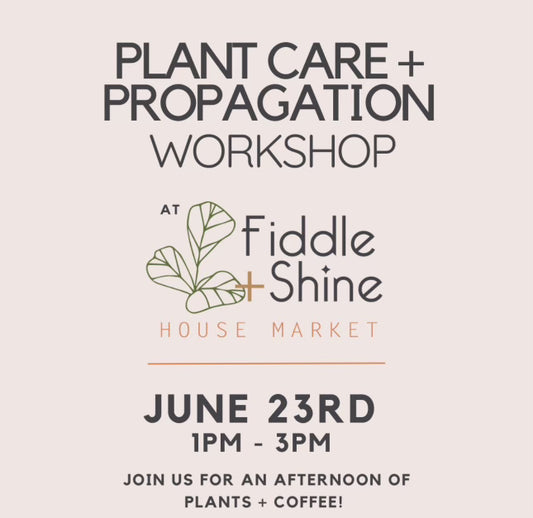 Plant Care + Propagation Workshop