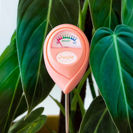 Mike's Water Meter